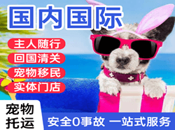 兴东机场空运国际宠物托运 【国